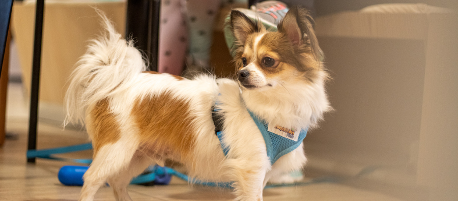 Design sem nome _51_.png