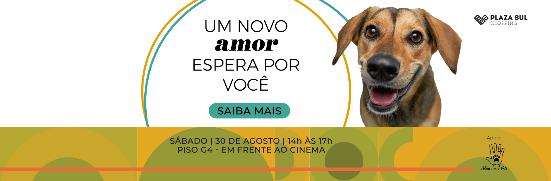 PLAZA_48406_ADOCAO-PET_BANNER_1920x631.png